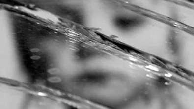 d8c48a44-aa65-4403-b66b-bd27716a114b